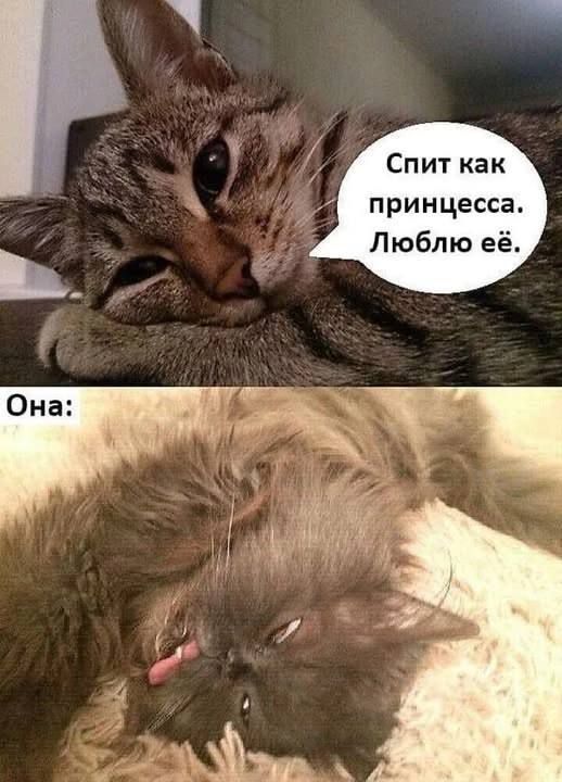 Спит как принцесса. Люблю её. Она:
