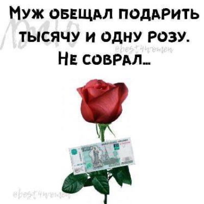 Муж обещал подарить тысячу и одну розу. Не сделал...