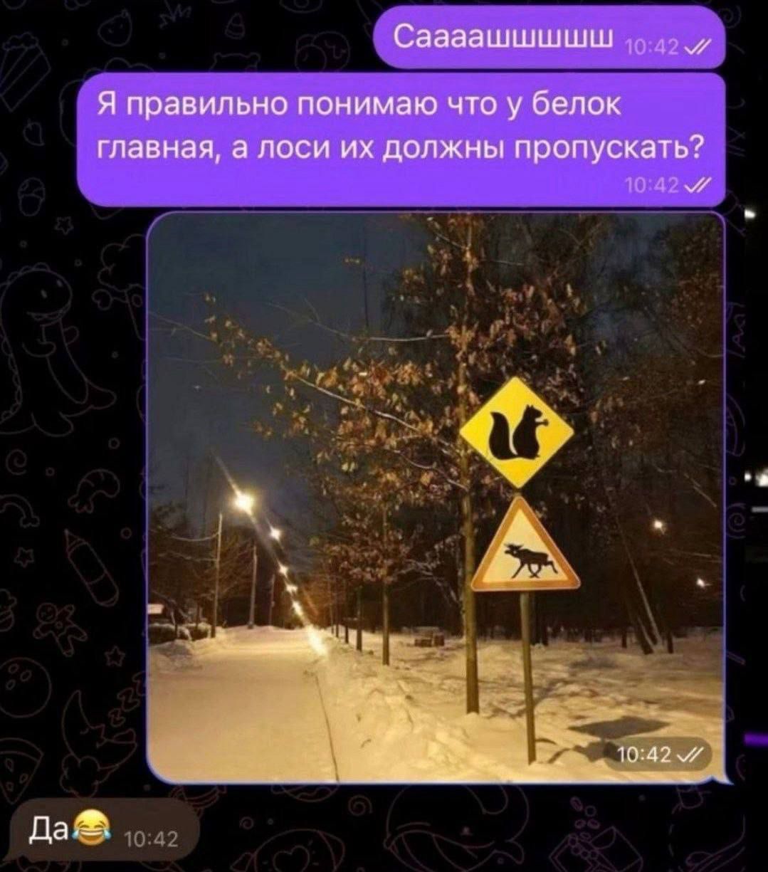 Сааааяаааа
Я правильно понимаю что у белок главная, а лоси их должны пропускать?
Да 😂