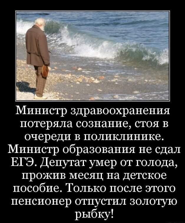 Министр здравоохранения потеряла сознание, стоя в очереди в поликлинике. Министр образования не сдал ЕГЭ. Депутат умер от голода, прожив месяц на детское пособие. Только после этого пенсионер отпустил золотую рыбку!