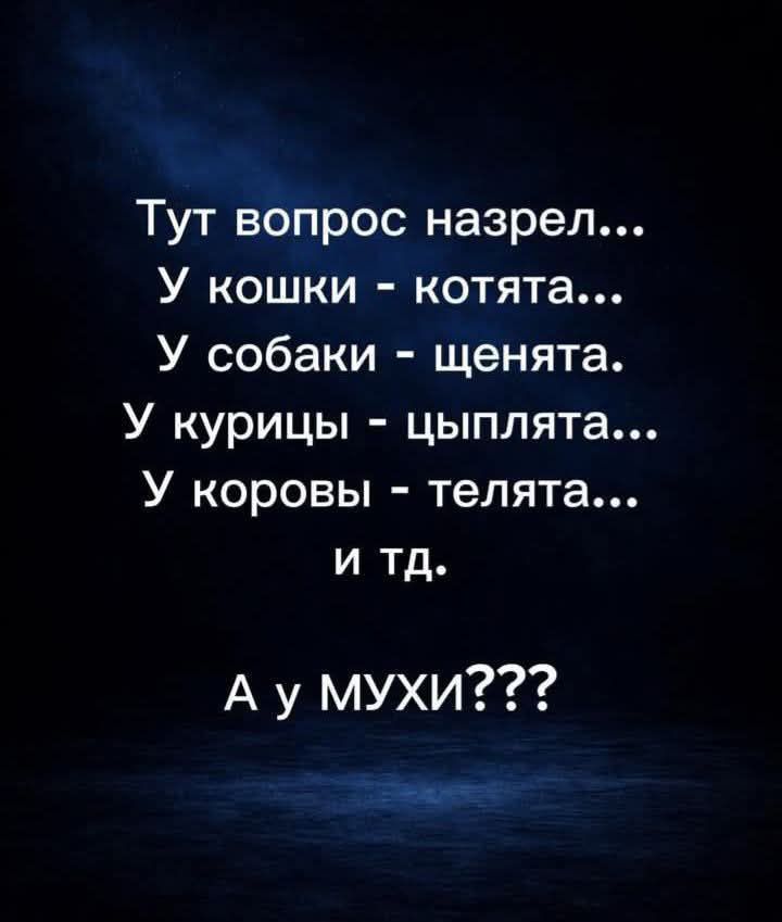 Тут вопрос назрел... У кошки - котята... У собаки - щенята... У курицы - цыплята... У коровы - телята... и тд. А у МУХИ???