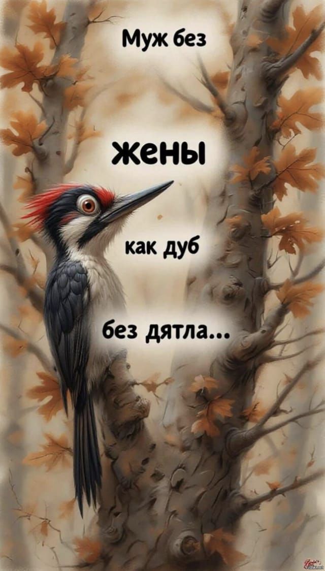 Муж без\nжены как дуб\nбез дятла...