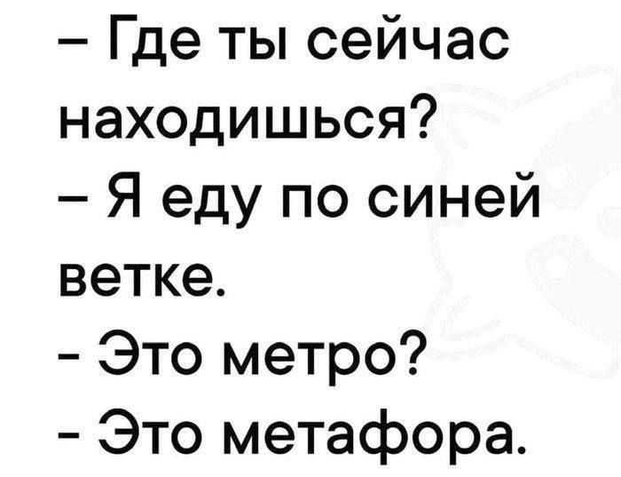 - Где ты сейчас находишься?
- Я ем по синей ветке.
- Это метро?
- Это метафора.