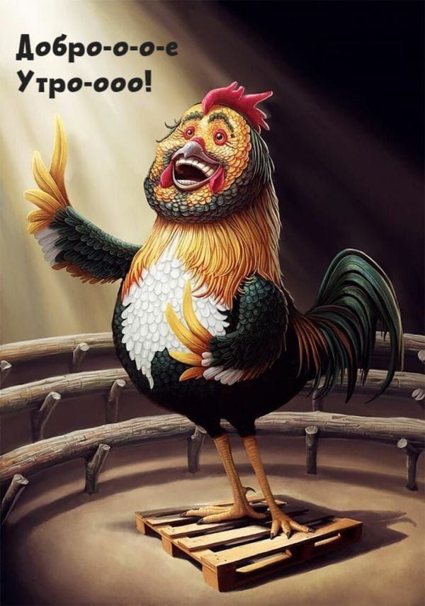 Добро-о-о-е Утро-о-о!