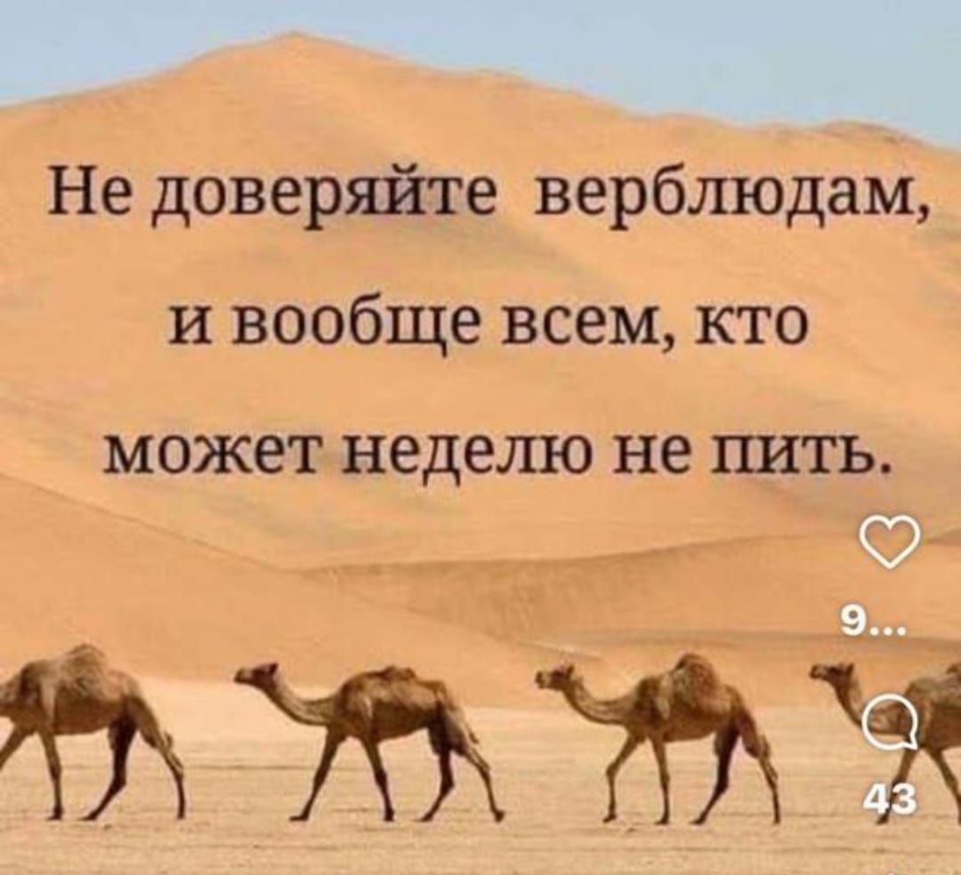 Не доверяйте верблюдам, и вообще всем, кто может неделю не пить.