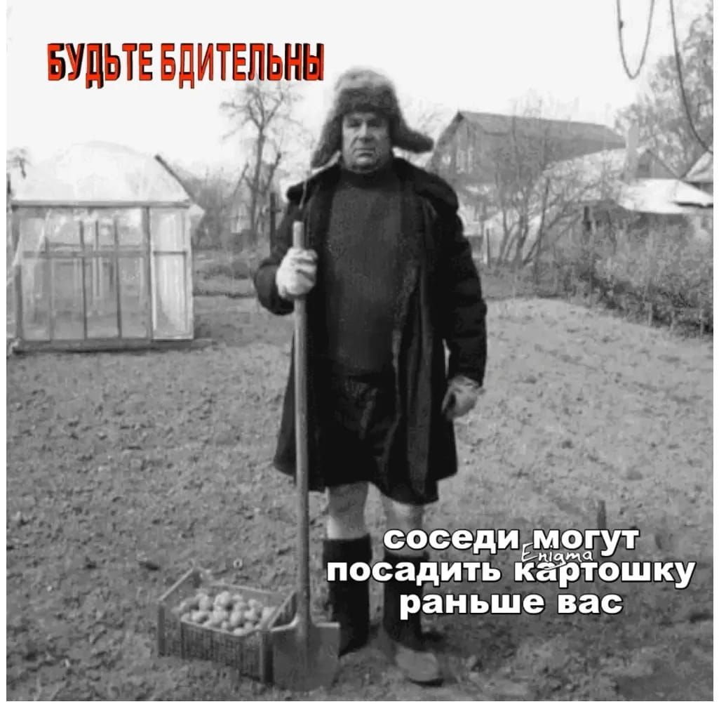 БУДЬТЕ БДИТЕЛЬНЫ соседи могут посадить картошку раньше вас
