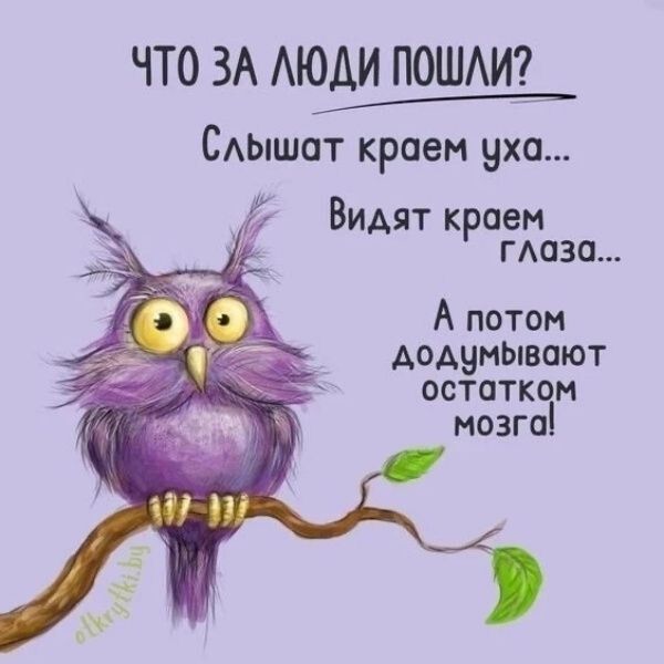 ЧТО ЗА ЛЮДИ ПОШЛИ? Слышат краем уха... Видят краем глаза... А потом додумывают остатком мозга!