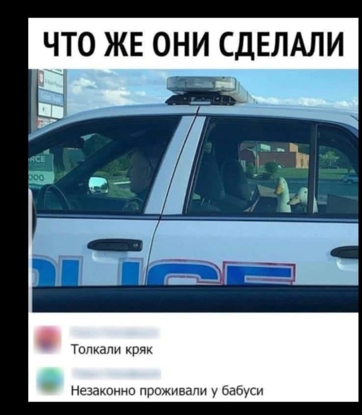 ЧТО ЖЕ ОНИ СДЕЛАЛИ Толкали кряк Незаконно проживали у бабуси