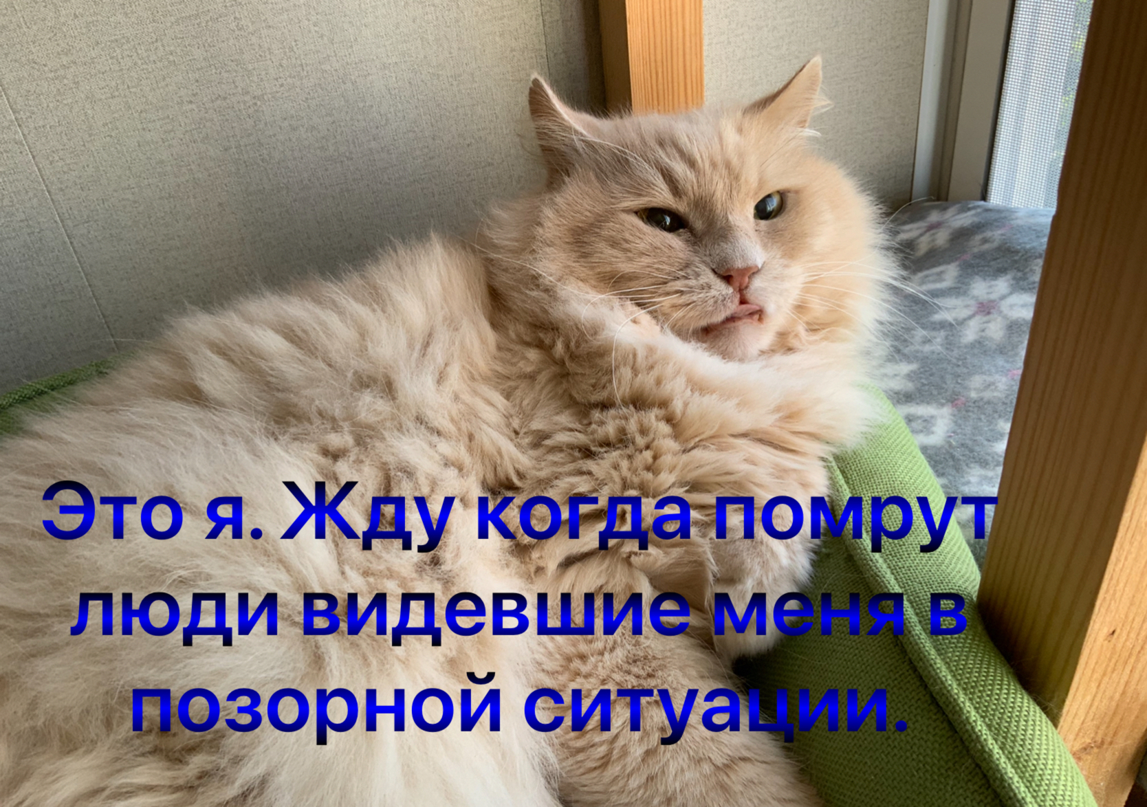 люди видевіли тэорной с у _ пк