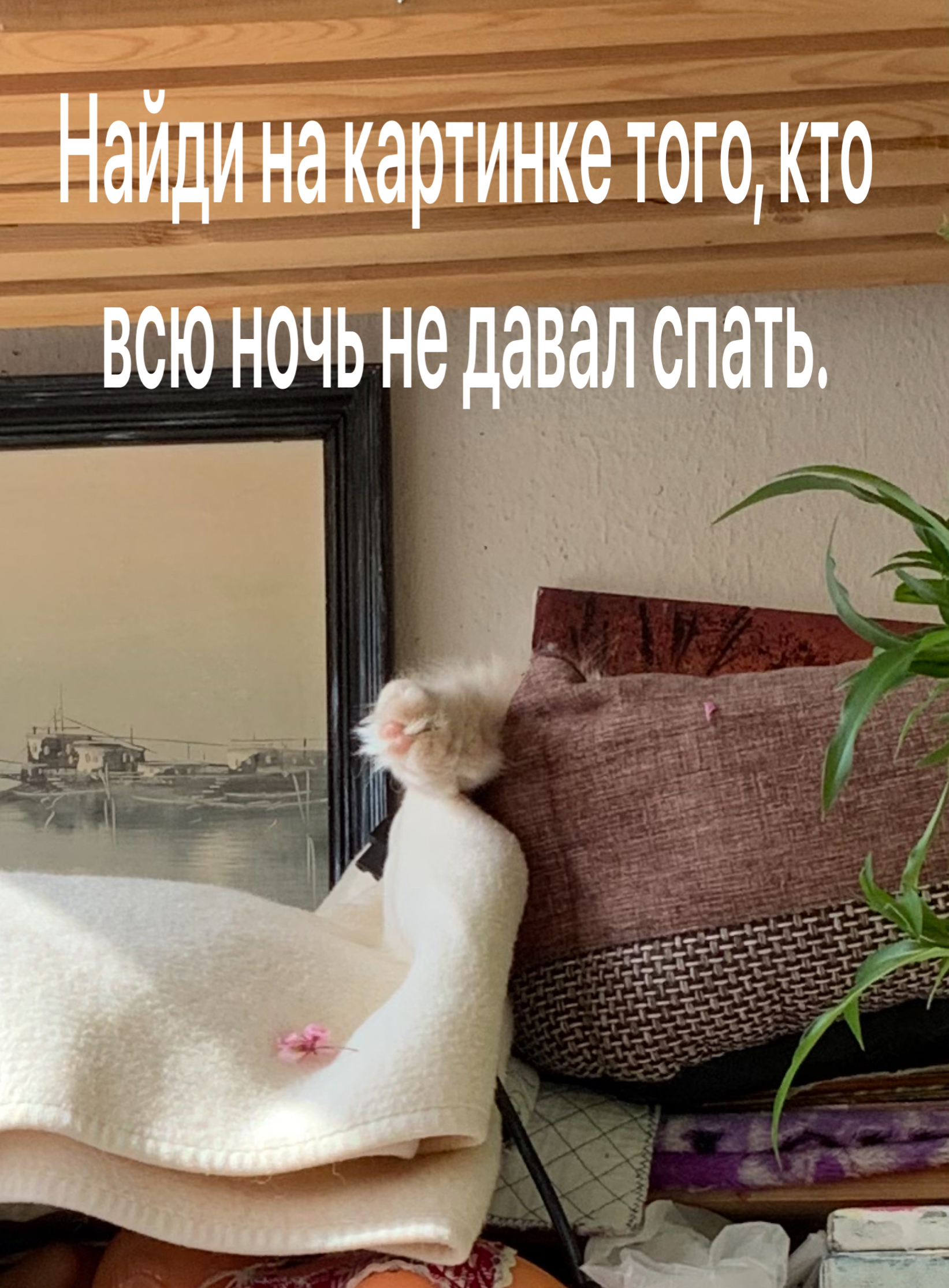 Яд __ пЪЦ