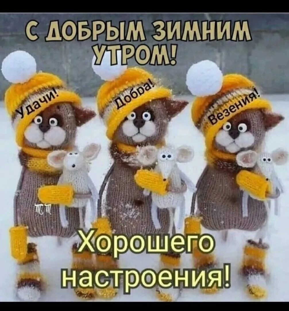 ЗИМНИМ ЕЫМ сидов