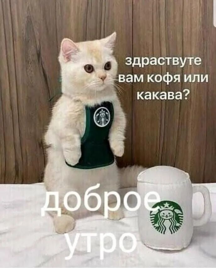 здраствуте вам кофя или какава