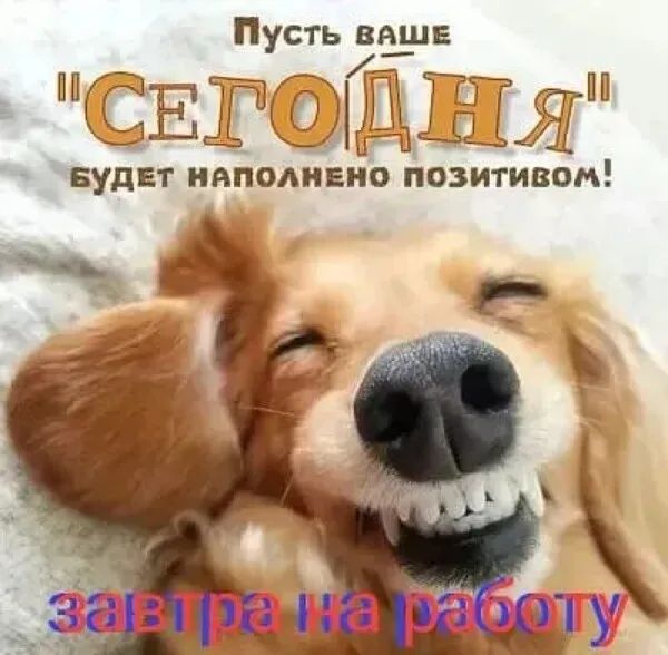 Пусть ВАШЕ ЕГШЩЩЯ БУДЕТ НИПОАНЕИО ПОЗИТИВОМ