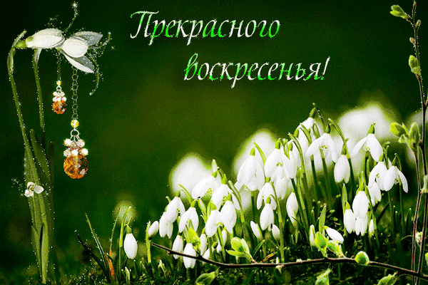 7Г7скршнот Йогкрсгснья д