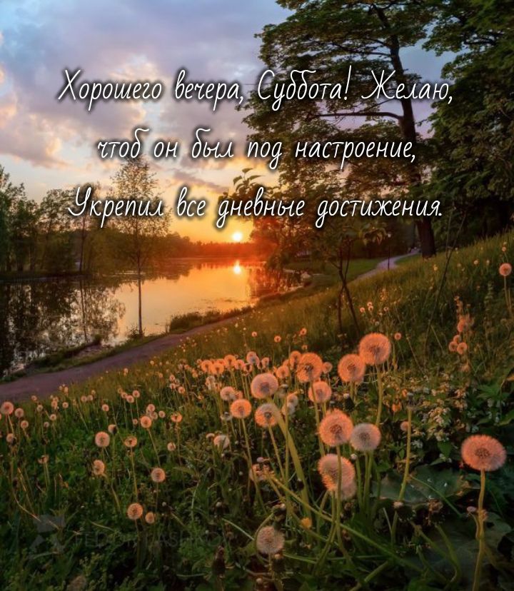 оттиего ИЕото 4