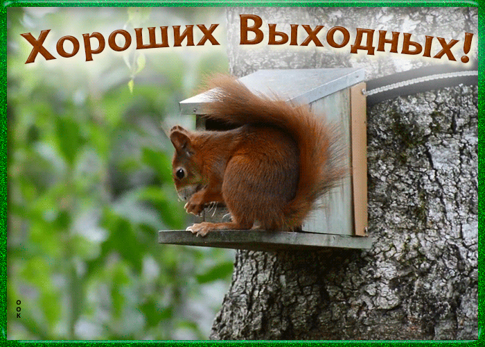 хороших ВьяібЬЦЁЫЁ
