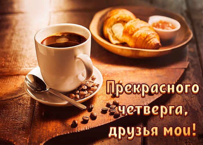 друзья мтлі