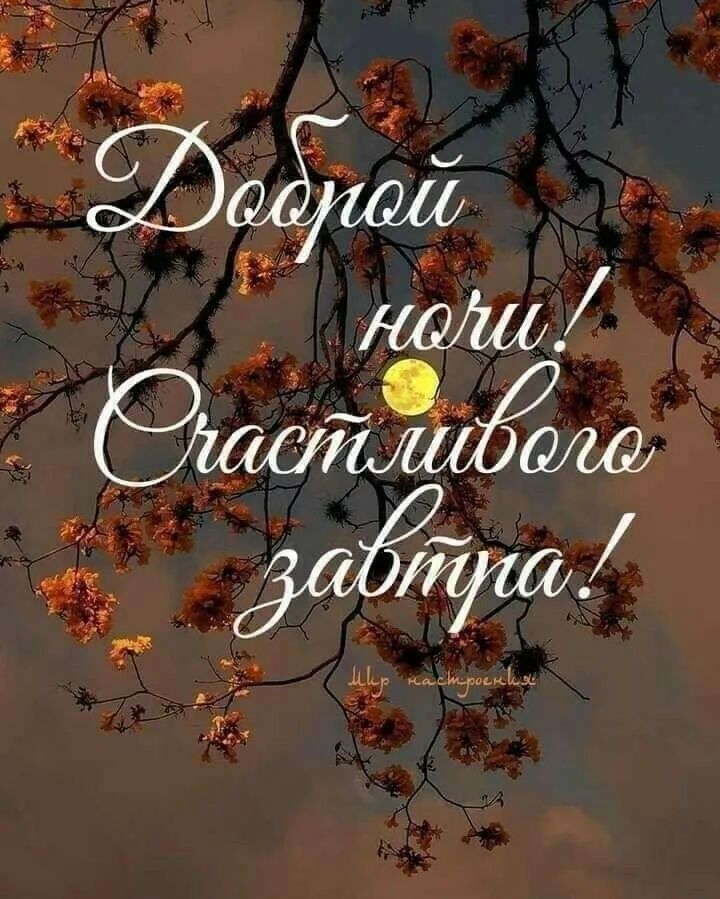 и
