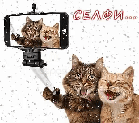 СЕЛФИ