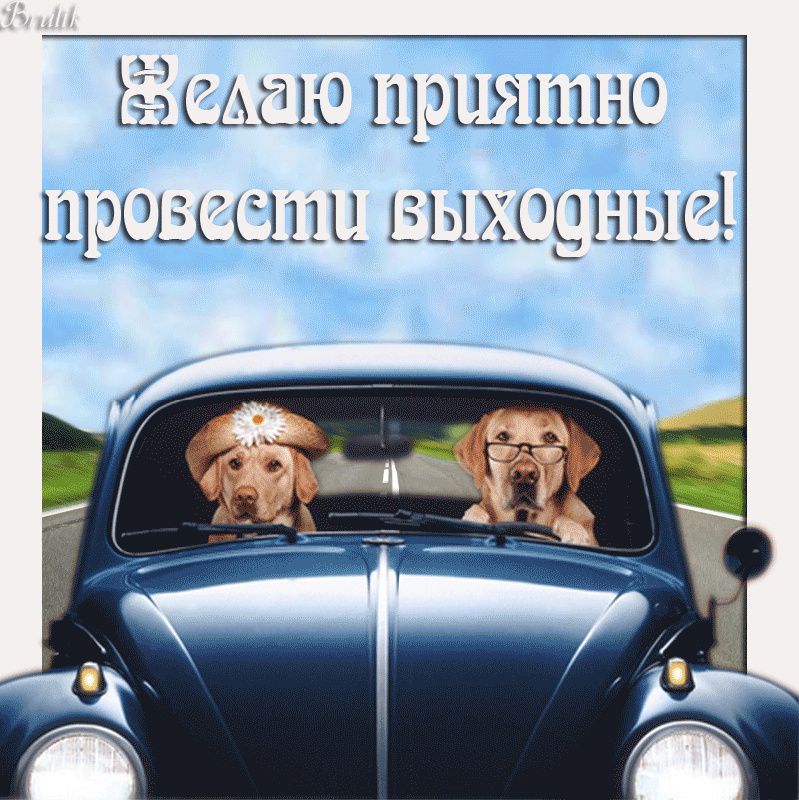 Ьііщщш щашшшо щювссшц дщерыыс