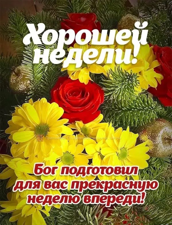 дтспв прекрасиу ювпереди И ч