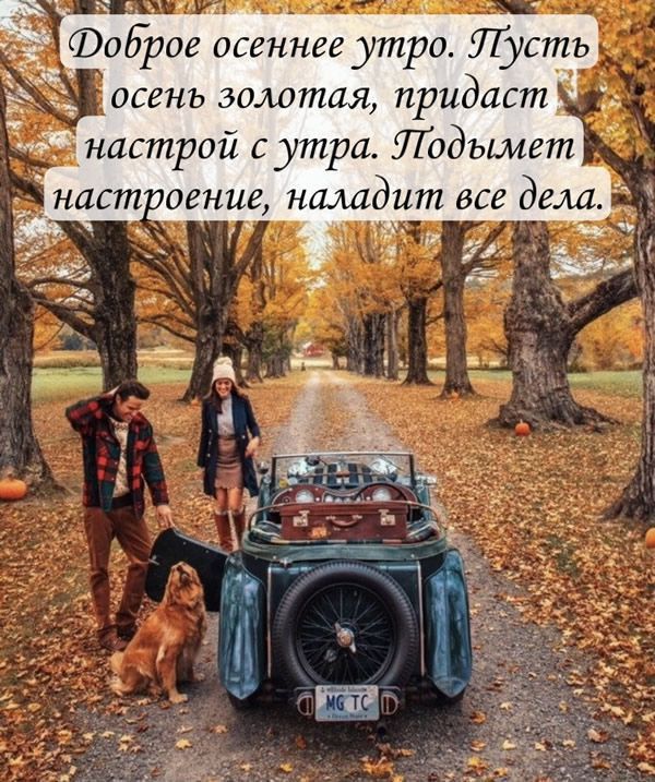 ФоЁрое осеннее утро Пусть
