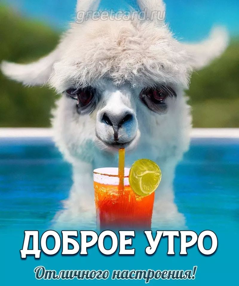 Опищчндго ішстросшья