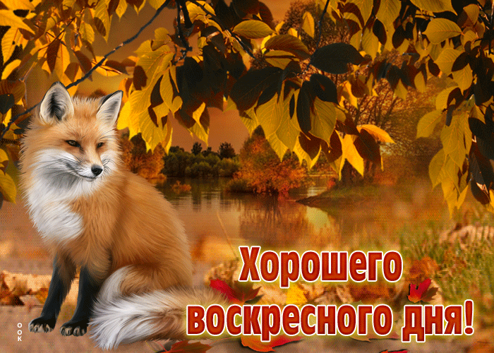 _а _д жившего