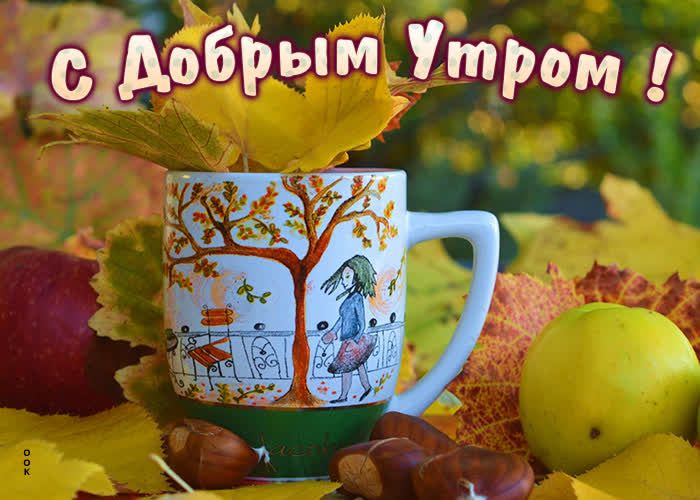 _ дЁЕоЁрым Утром _ _ 7 д