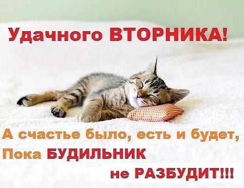УдаднЪго морщинки А счастье Было есть и будет Пока БУДИПЬНИК не РАЗБУДИТШ