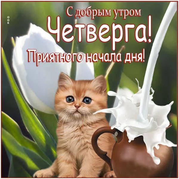 С Ёбрым утром ЧетТЁерга ачала дня ім