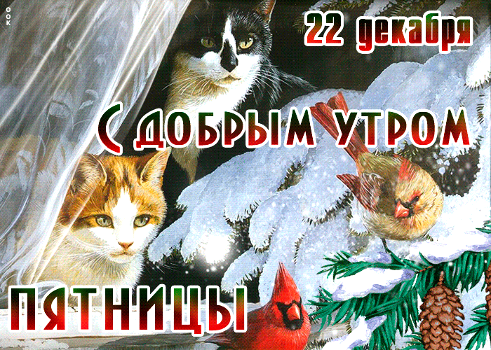 из 5 патч