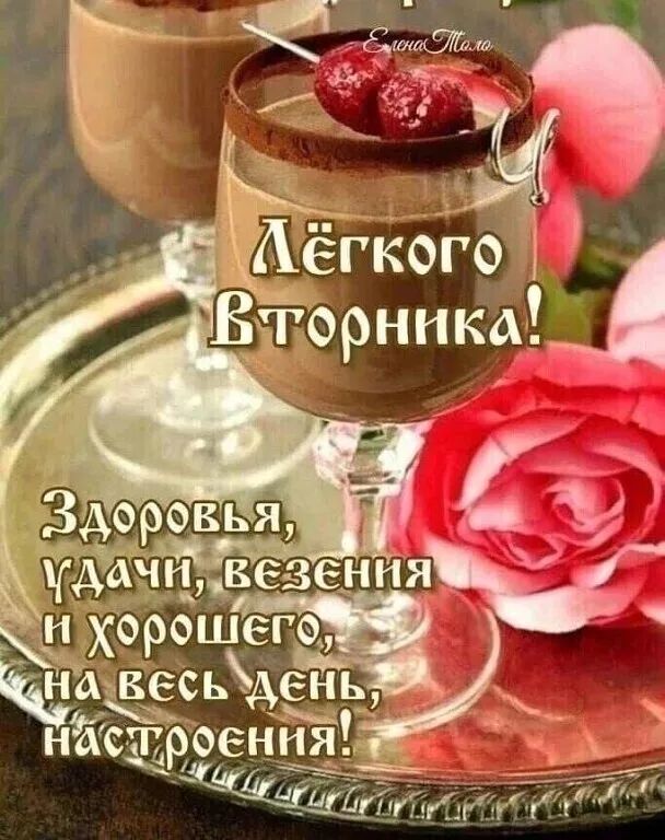 НЙЁ медия у _ Везенияч хорошеіщ авеспёдёь