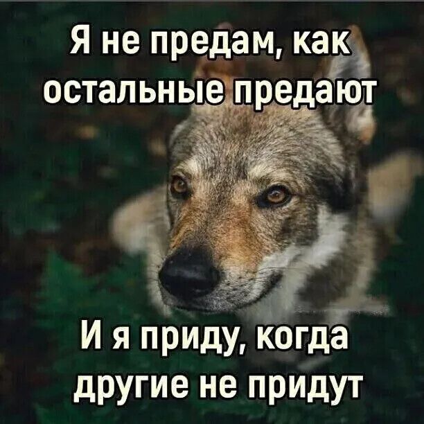 Я не предам кей остальньіеп едают Т И я приду когда другие не придут