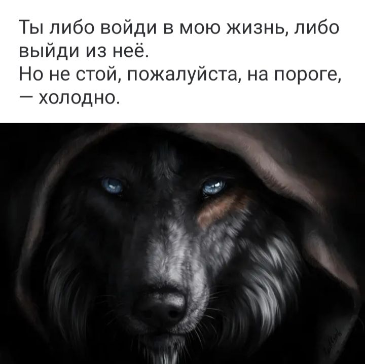 Ты либо войди в мою жизнь либо выйди из неё Но не стой пожалуй та на поро холодно