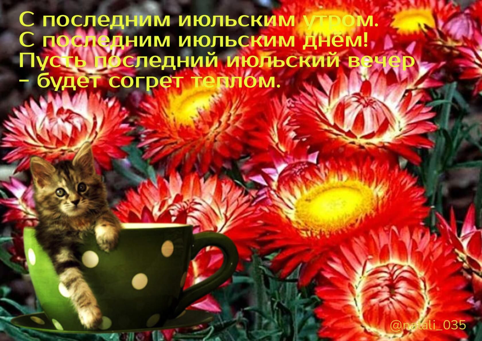 С послам июльским зюпьскчш темд ЗИЙЙЮЛПСКИ тсбгрет пб м
