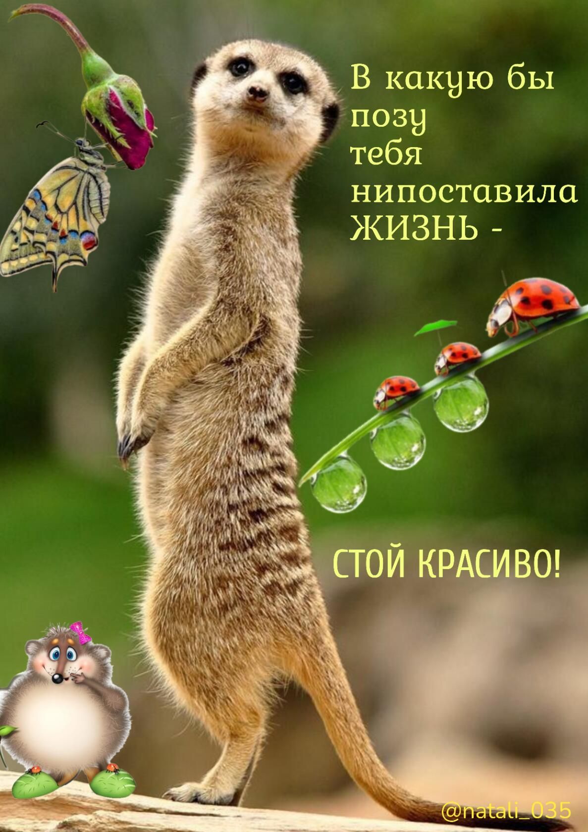 _ В какую бы позу тебя нипоставила ЖИЗНЬ