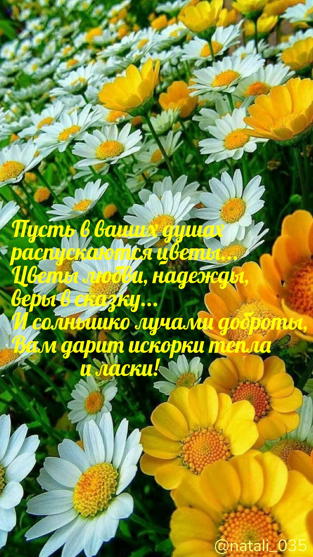 ПЗЁЭГЬО