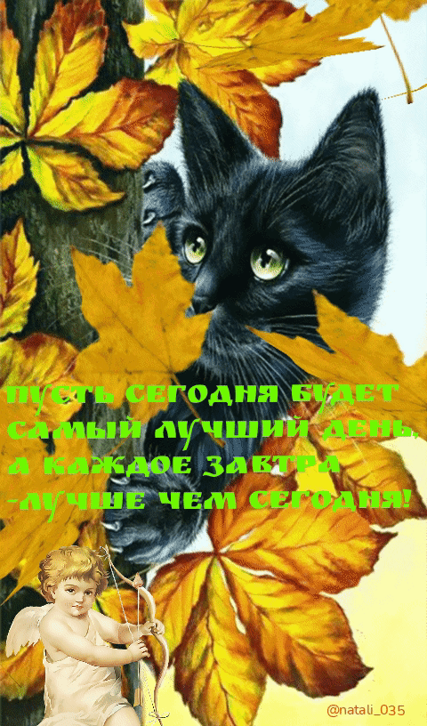 в