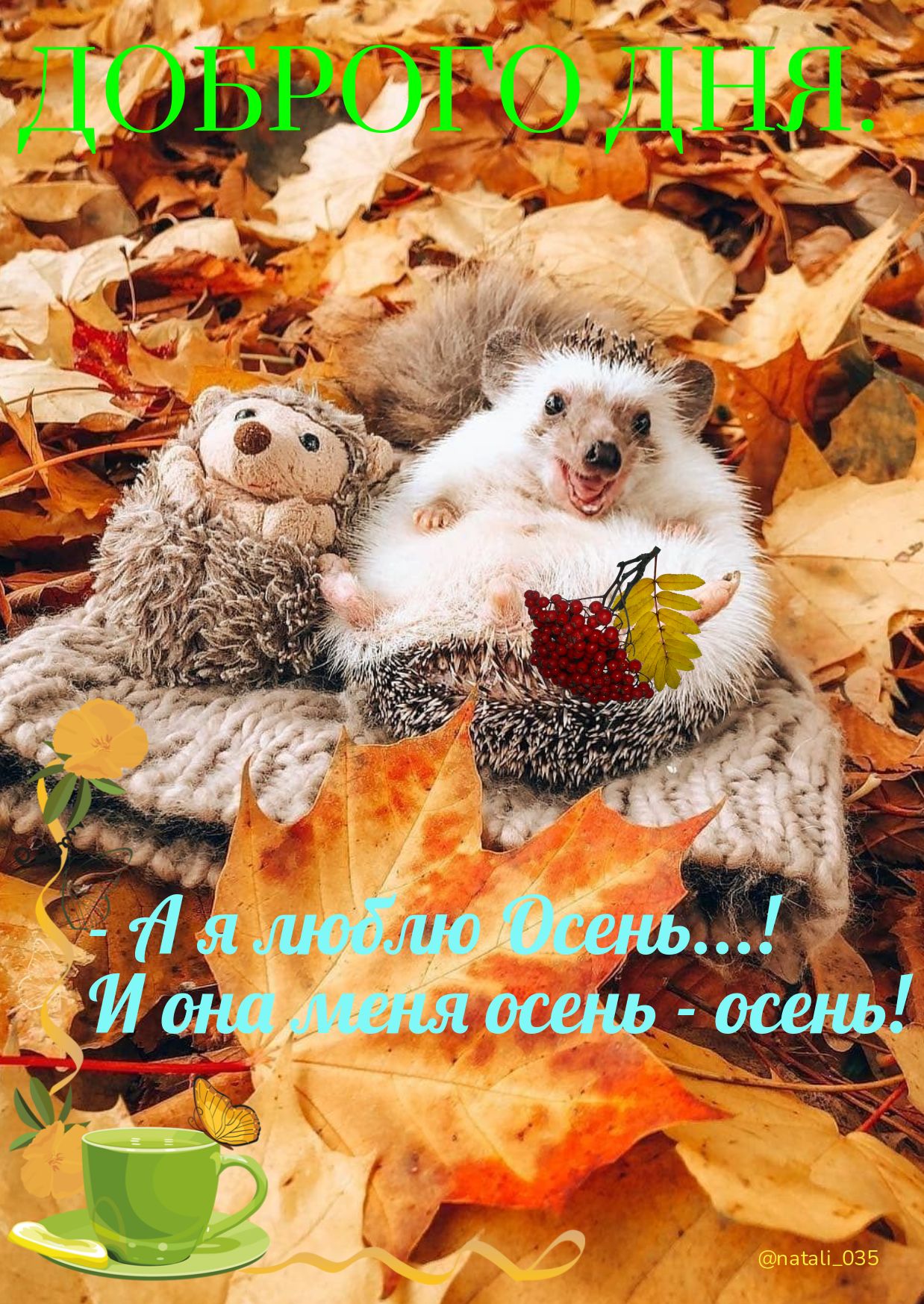 Ои ший т