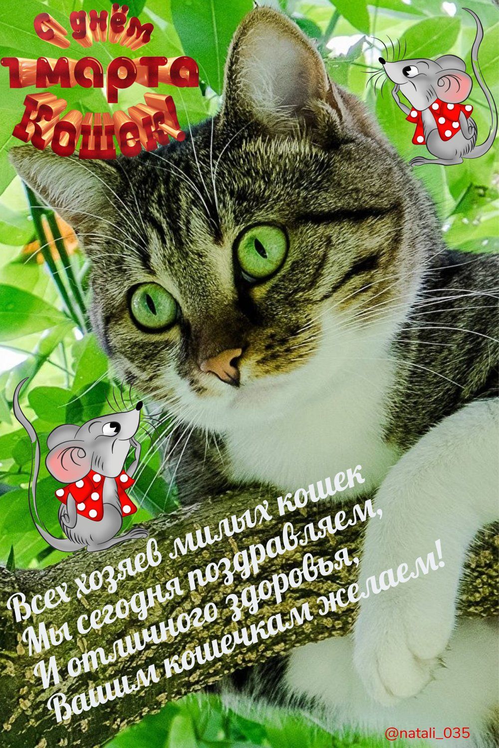Мщв