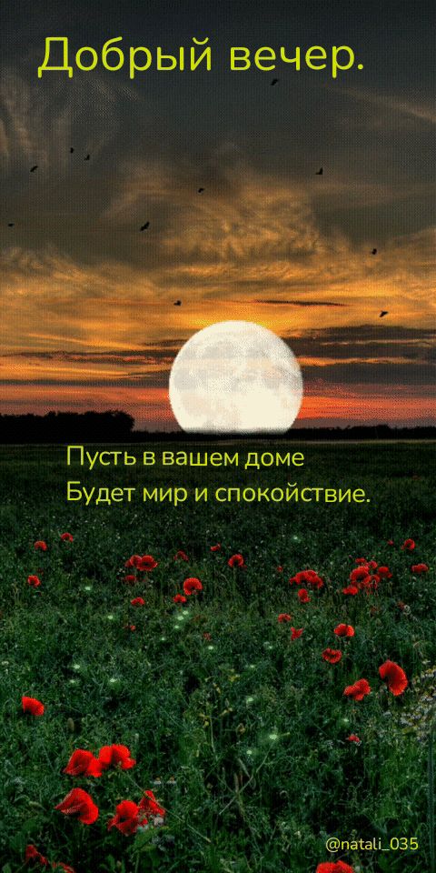 Добрый вечер Пусгь в вашем доме Будет мир и спокойсгвие _ паіаш035 Ач