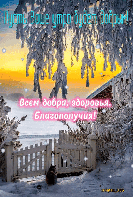 мвзз