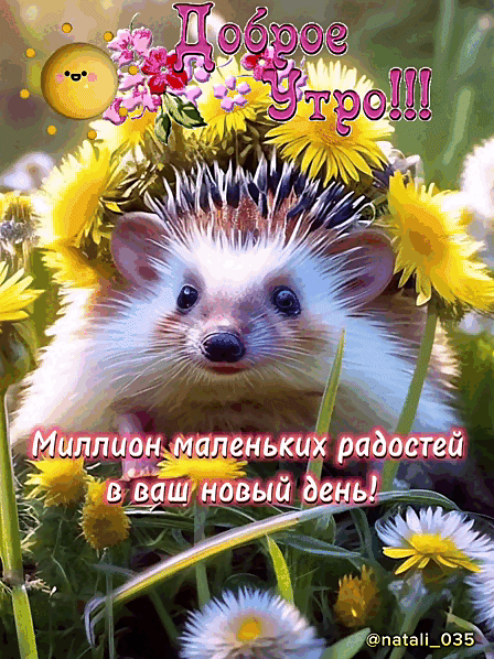 _ идти маленьких рад в ваш новыйь _ _ масаи 0353