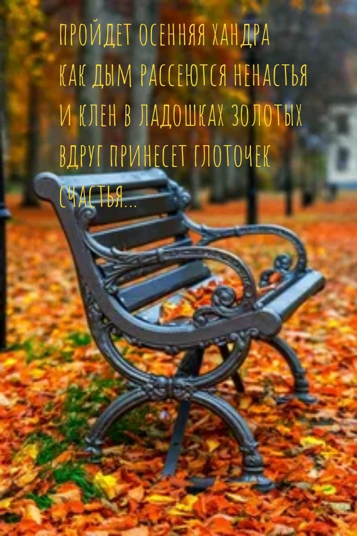 ЫМ ЩЕЕЮТЕЯ НЕНШБЯ И К ЕН В АДОШКАХ ЗОЛОТЫ