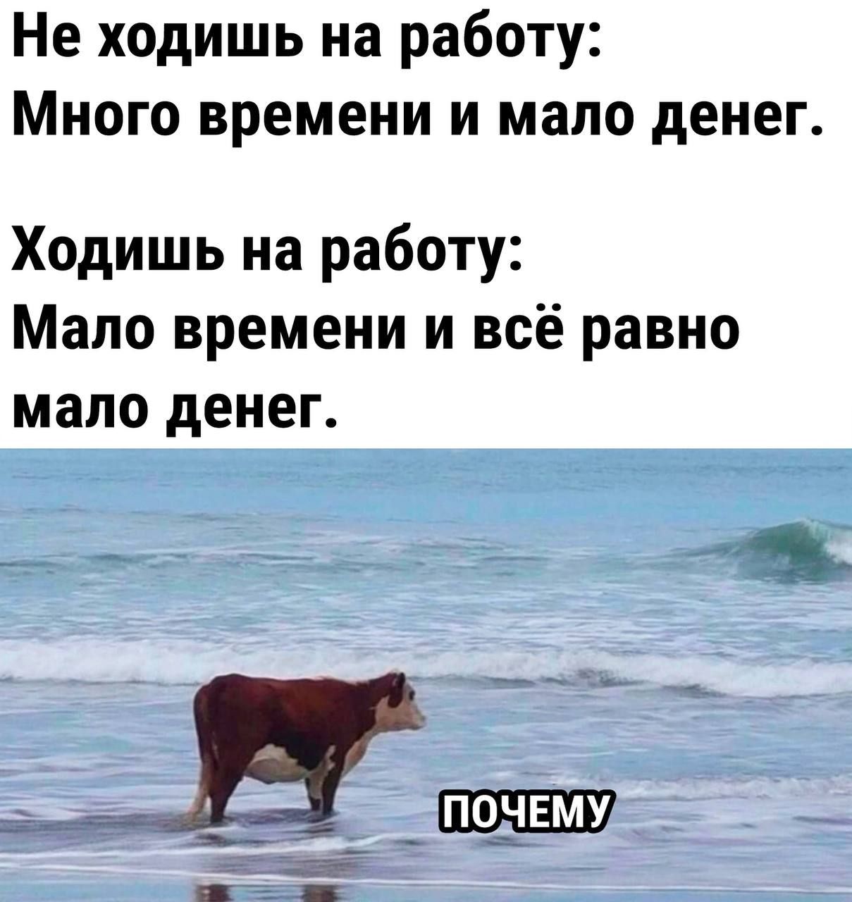 Не ходишь на работу Много времени и мало денег Ходишь на работу Мало времени и всё равно мало денег