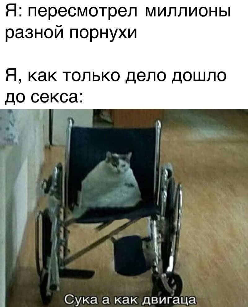 Я пересмотрел миллионы разной порнухи Я как ТОЛЬКО ДЕЛО дОШЛО дО секса Сука а как двигаца