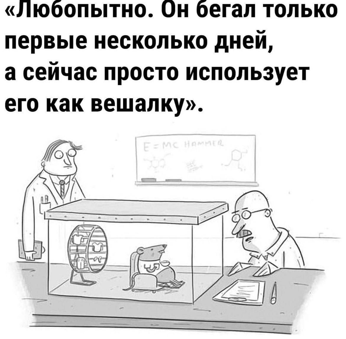 Любопытно Он бегал только первые несколько дней а сейчас просто использует его как вешалиу