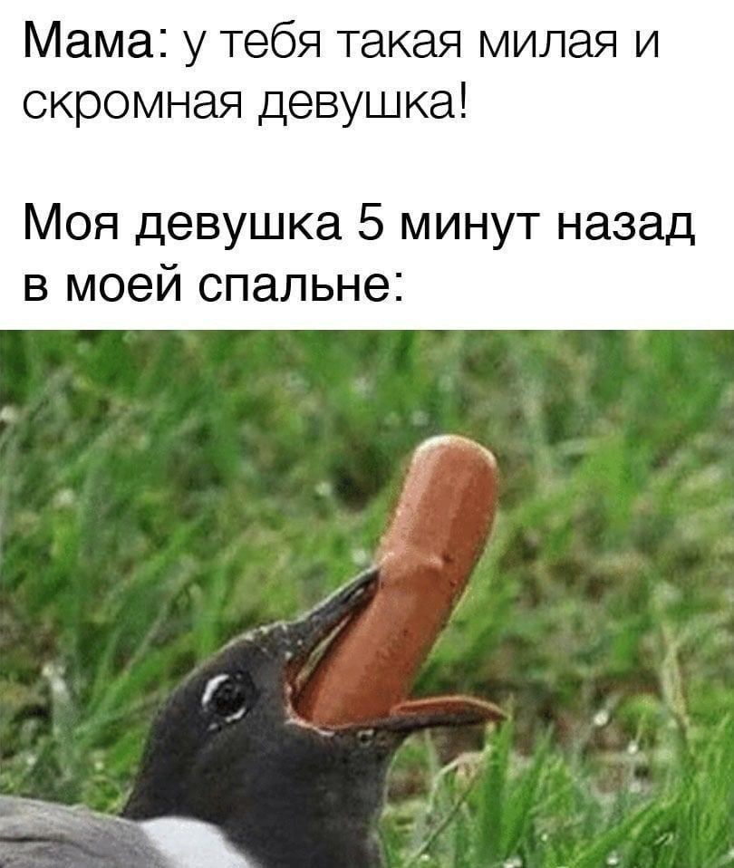 Мама у тебя акая милая и скромная девушка Моя девушка 5 минут назад в моей спальне