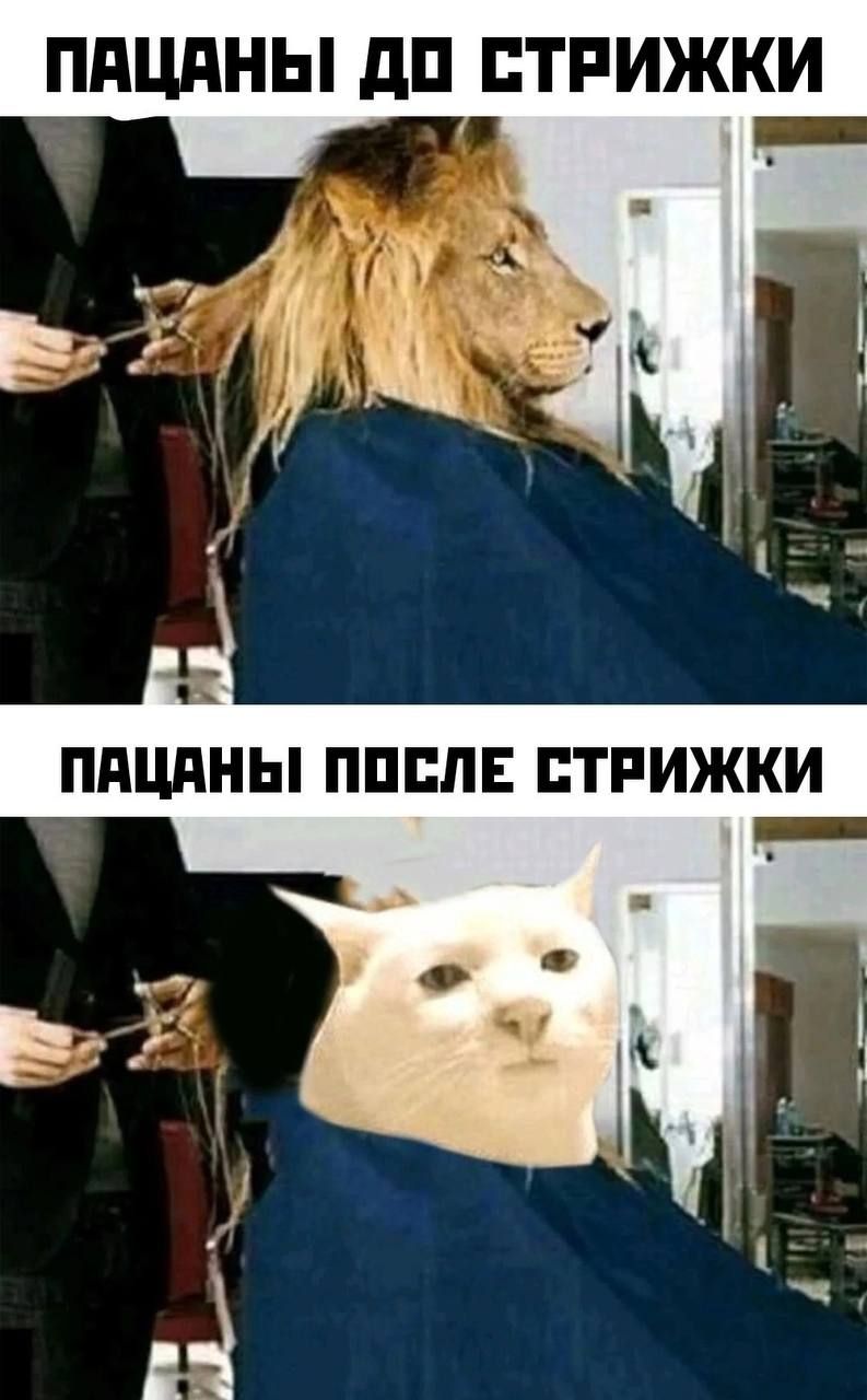 ППЦПНЫ дП СТРИЖКИ